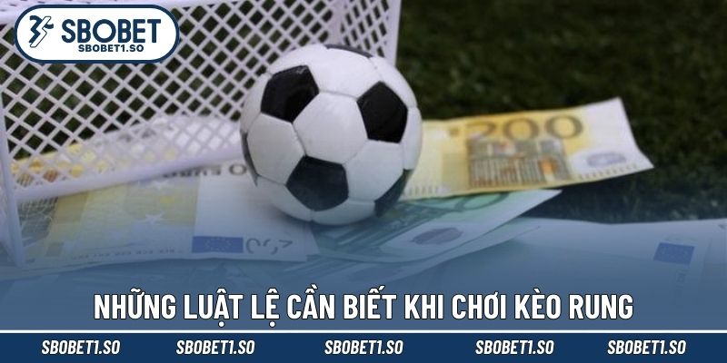 Những luật lệ cần biết khi chơi kèo rung